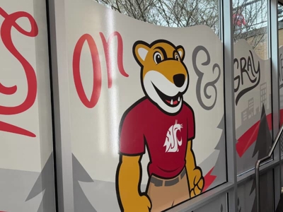 Window Graphics Photo